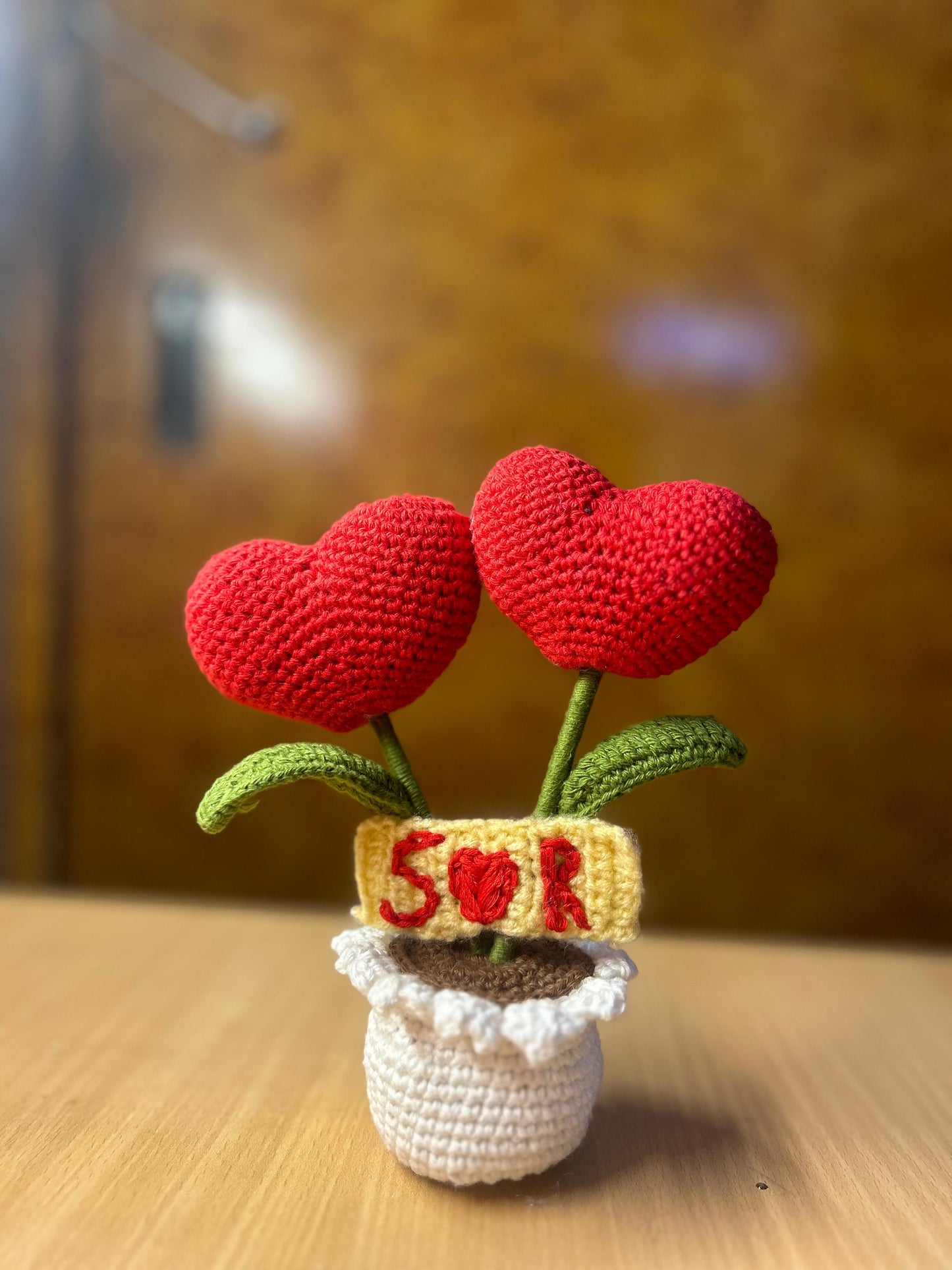 Love in a Pot ( Heart Plant )